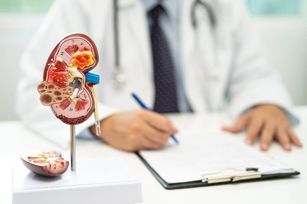 Tratamento da Doença Renal no Diabetes: Atualizações KDIGO e Prática Clínica